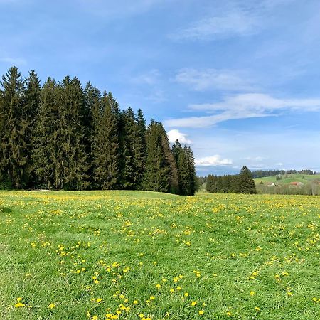 Lindners Hideaways - Bergnest Lodge - Bergblick Fewo 6 Pers Balkon Garten Hund Ski Unterkunft Luftkurort Oberreute Naehe Buchenegger Wasserfaelle Eistobel Bodensee Екстериор снимка