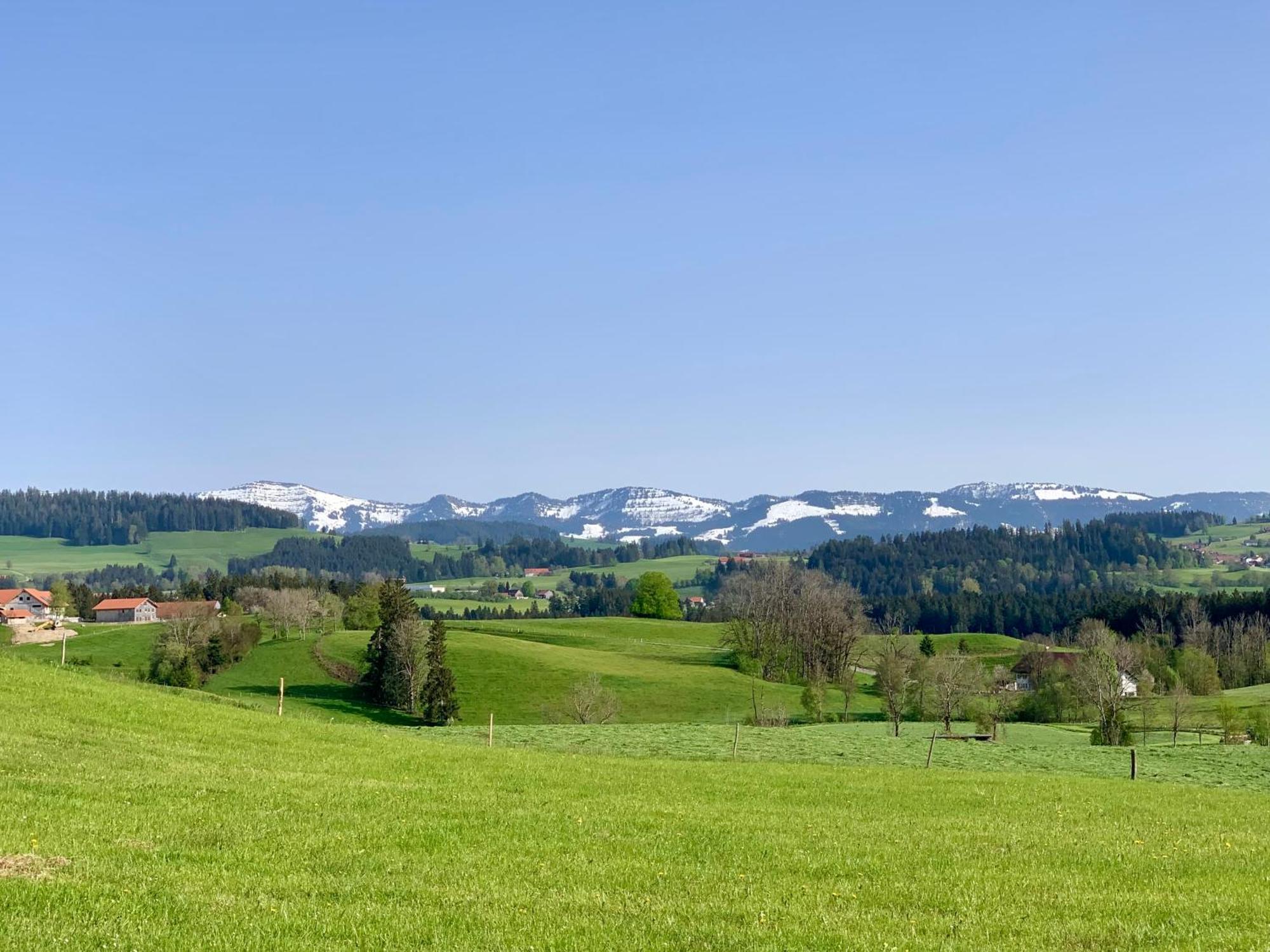 Lindners Hideaways - Bergnest Lodge - Bergblick Fewo 6 Pers Balkon Garten Hund Ski Unterkunft Luftkurort Oberreute Naehe Buchenegger Wasserfaelle Eistobel Bodensee Екстериор снимка